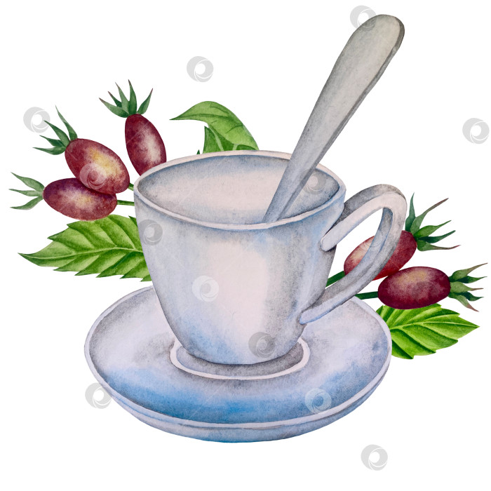 Скачать Свежие листья зеленого чая, чашка чая и чайник для заваривания, набор для чаепития с цветами и ягодами шиповника. Иллюстрация к Международному дню чая. Отдельные элементы, нарисованные акварелью от руки. фотосток Ozero