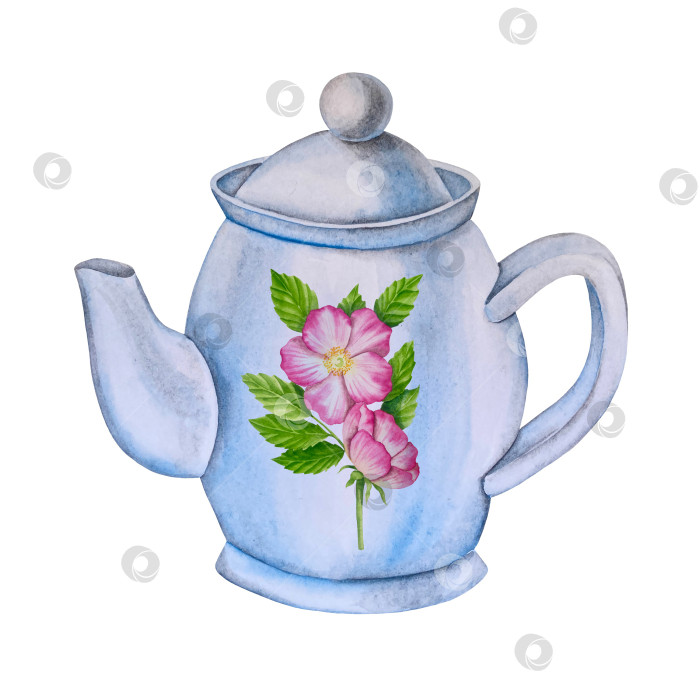 Скачать Свежие листья зеленого чая, чашка чая и чайник для заваривания, набор для чаепития с цветами и ягодами шиповника. Иллюстрация к Международному дню чая. Отдельные элементы, нарисованные акварелью от руки. фотосток Ozero