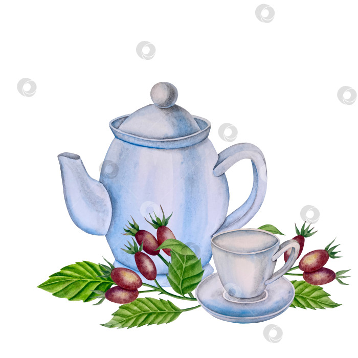 Скачать Свежие листья зеленого чая, чашка чая и чайник для заваривания, набор для чаепития с цветами и ягодами шиповника. Иллюстрация к Международному дню чая. Отдельные элементы, нарисованные акварелью от руки. фотосток Ozero