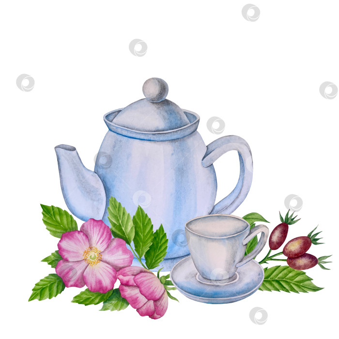 Скачать Свежие листья зеленого чая, чашка чая и чайник для заваривания, набор для чаепития с цветами и ягодами шиповника. Иллюстрация к Международному дню чая. Отдельные элементы, нарисованные акварелью от руки. фотосток Ozero
