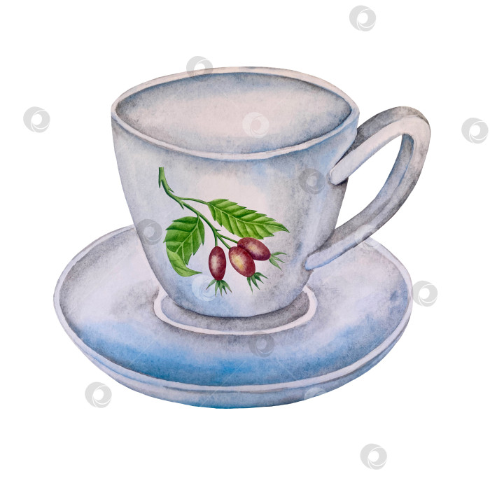 Скачать Свежие листья зеленого чая, чашка чая и чайник для заваривания, набор для чаепития с цветами и ягодами шиповника. Иллюстрация к Международному дню чая. Отдельные элементы, нарисованные акварелью от руки. фотосток Ozero