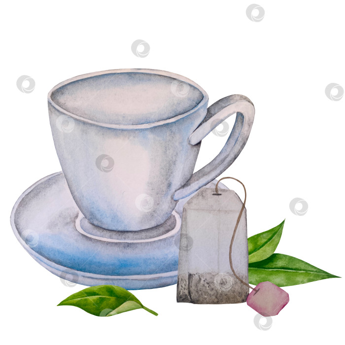 Скачать Свежие листья зеленого чая, чашка чая и чайник для заваривания, набор для чаепития с цветами и ягодами шиповника. Иллюстрация к Международному дню чая. Отдельные элементы, нарисованные акварелью от руки. фотосток Ozero