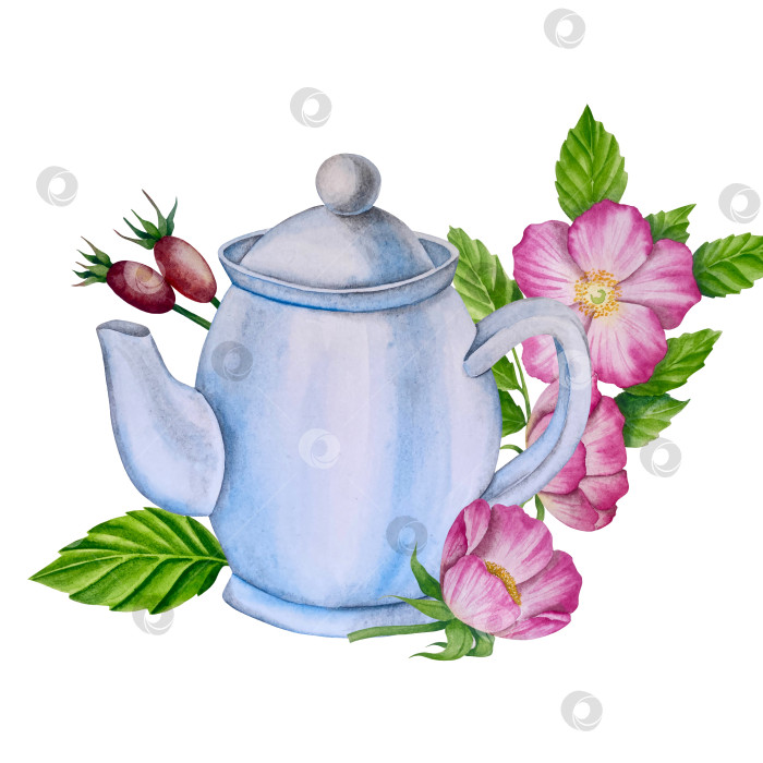 Скачать Свежие листья зеленого чая, чашка чая и чайник для заваривания, набор для чаепития с цветами и ягодами шиповника. Иллюстрация к Международному дню чая. Отдельные элементы, нарисованные акварелью от руки. фотосток Ozero