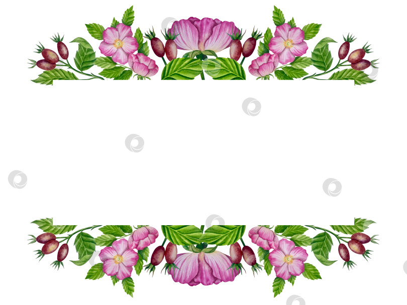 Скачать Свежие листья зеленого чая, чашка чая и чайник для заваривания, набор для чаепития с цветами и ягодами шиповника. Иллюстрация к Международному дню чая. Отдельные элементы, нарисованные акварелью от руки. фотосток Ozero