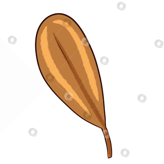 Скачать Цифровая иллюстрация "Коричневая трава". Рисунки для оформления детских книг фотосток Ozero