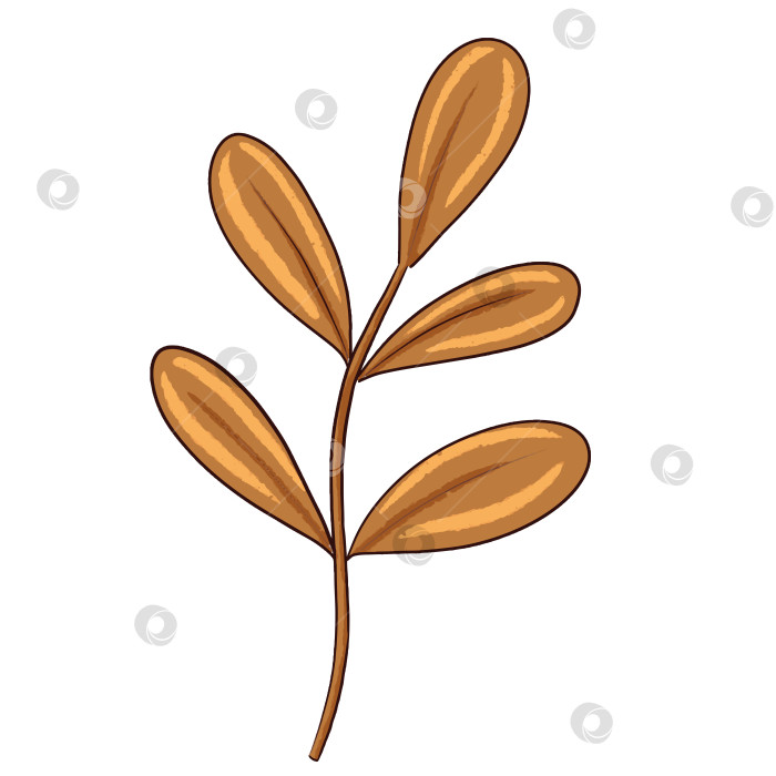 Скачать Цифровая иллюстрация "Коричневая трава". Рисунки для оформления детских книг фотосток Ozero