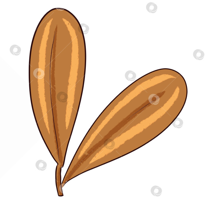 Скачать Цифровая иллюстрация "Коричневая трава". Рисунки для оформления детских книг фотосток Ozero