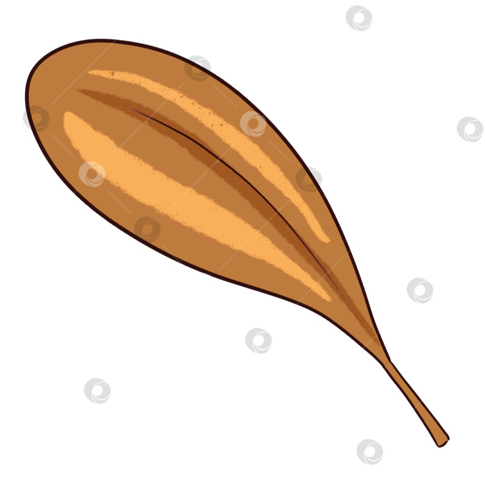 Скачать Цифровая иллюстрация "Коричневая трава". Рисунки для оформления детских книг фотосток Ozero