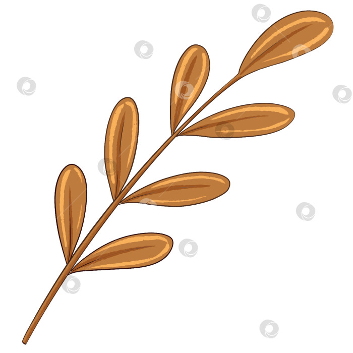 Скачать Цифровая иллюстрация "Коричневая трава". Рисунки для оформления детских книг фотосток Ozero