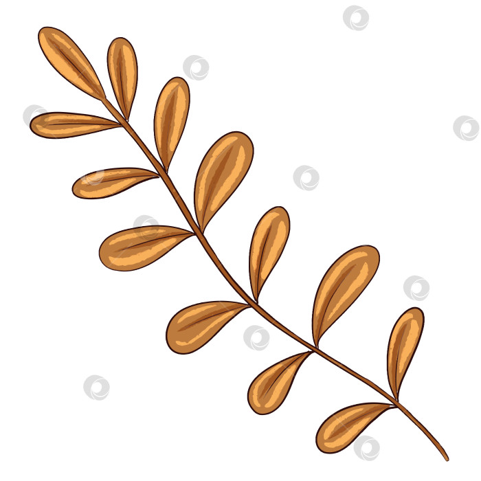 Скачать Цифровая иллюстрация "Коричневая трава". Рисунки для оформления детских книг фотосток Ozero