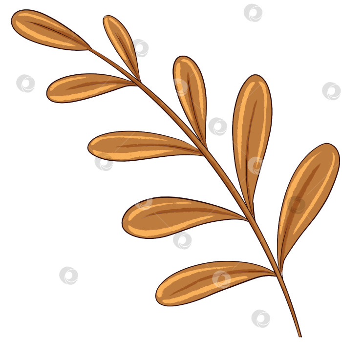 Скачать Цифровая иллюстрация "Коричневая трава". Рисунки для оформления детских книг фотосток Ozero