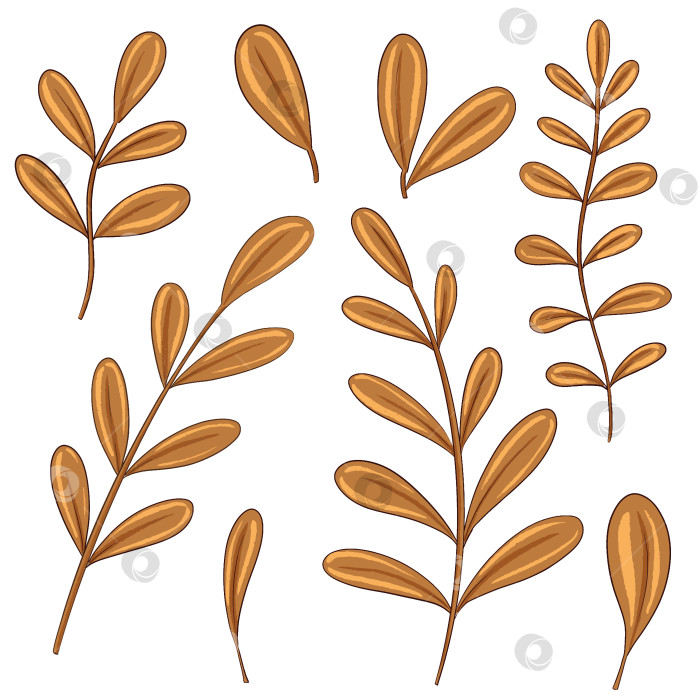 Скачать Цифровая иллюстрация "Коричневая трава". Рисунки для оформления детских книг фотосток Ozero