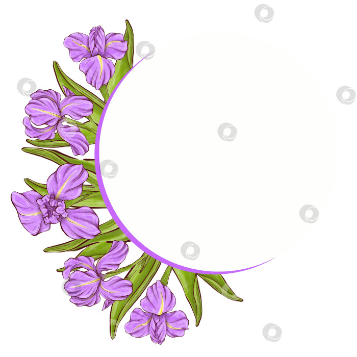 Скачать Набор иллюстраций цветов ириса фотосток Ozero