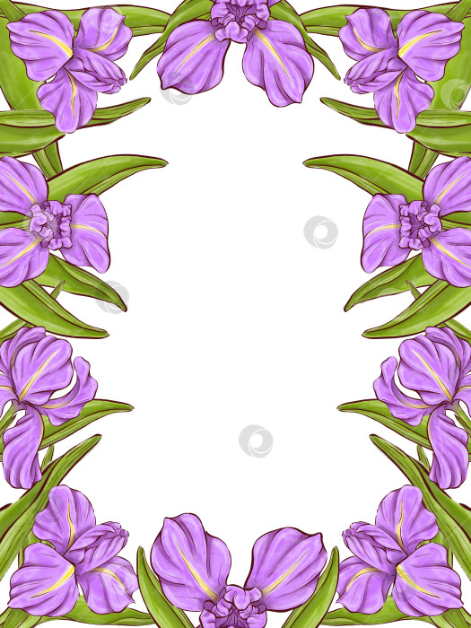 Скачать Набор иллюстраций цветов ириса фотосток Ozero