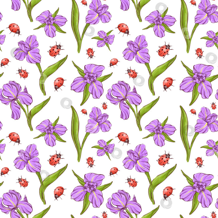 Скачать Набор иллюстраций цветов ириса фотосток Ozero