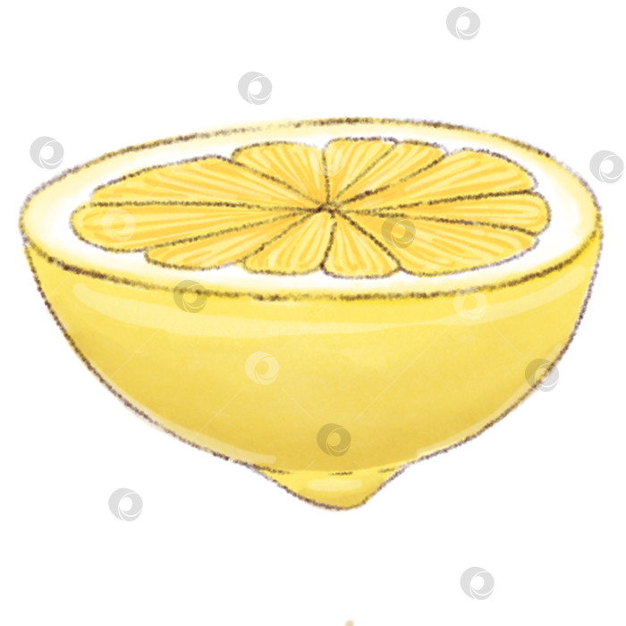 Скачать Лимонад и ингредиенты. Набор иллюстраций, нарисованных от руки на белом фоне. фотосток Ozero