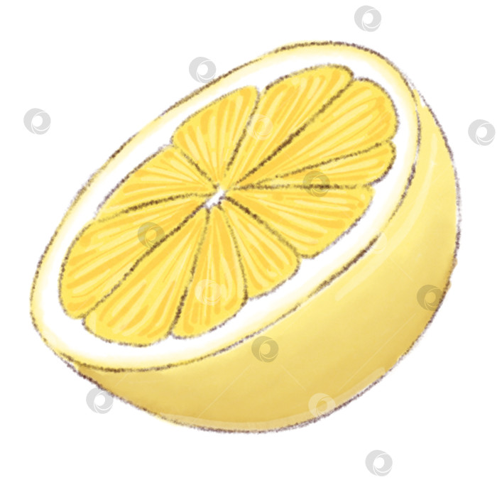 Скачать Лимонад и ингредиенты. Набор иллюстраций, нарисованных от руки на белом фоне. фотосток Ozero