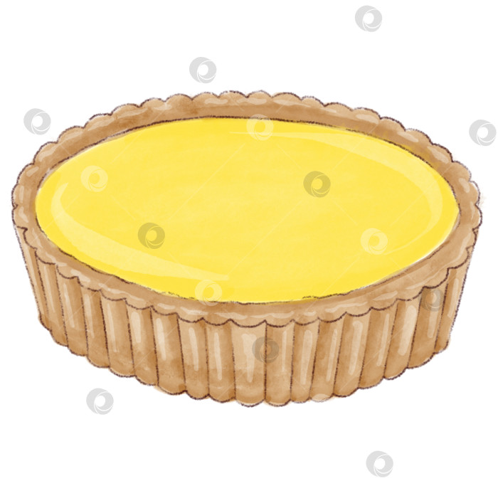 Скачать Лимонад и ингредиенты. Набор иллюстраций, нарисованных от руки на белом фоне. фотосток Ozero