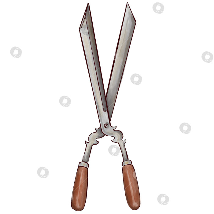 Скачать Пионы, цветы на белом фоне, цветочный элемент для дизайна, ботаническая векторная иллюстрация. Летний букет цветов фотосток Ozero