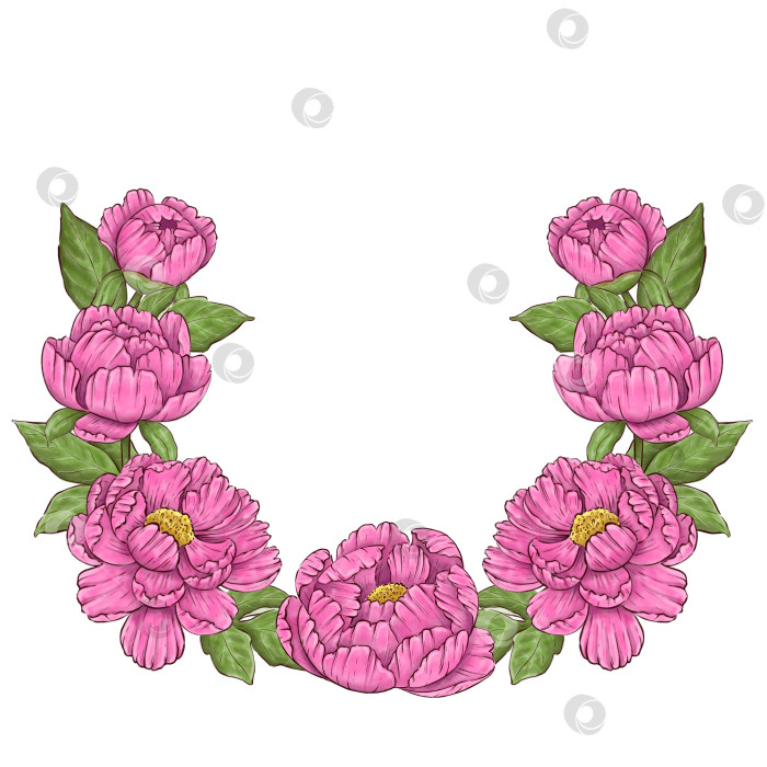 Скачать Пионы, цветы на белом фоне, цветочный элемент для дизайна, ботаническая векторная иллюстрация. Летний букет цветов фотосток Ozero