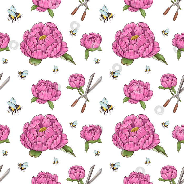 Скачать Пионы, цветы на белом фоне, цветочный элемент для дизайна, ботаническая векторная иллюстрация. Летний букет цветов фотосток Ozero