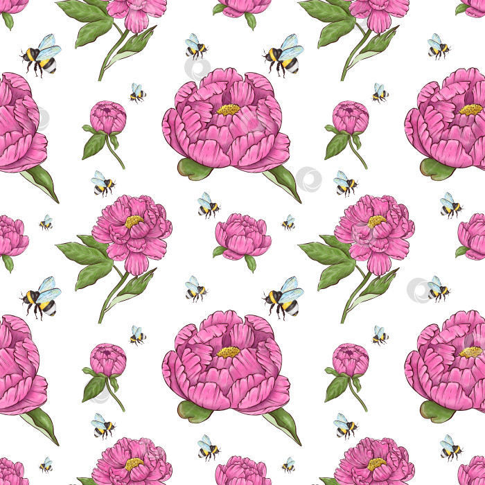 Скачать Пионы, цветы на белом фоне, цветочный элемент для дизайна, ботаническая векторная иллюстрация. Летний букет цветов фотосток Ozero