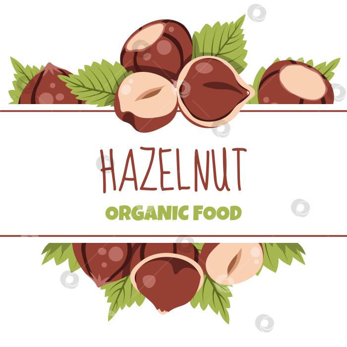 Скачать Шаблон квадратной рамки из лесных орехов и листьев для профессиональной упаковки пищевых продуктов, пользовательских этикеток, плакатов и баннеров фотосток Ozero
