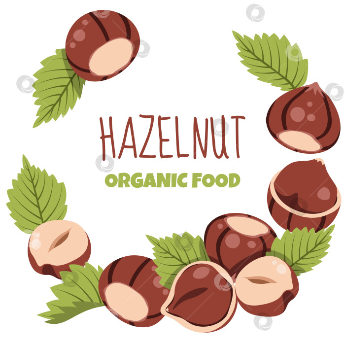 Скачать Шаблон в круглой рамке с лесными орехами и зелеными листьями в плоском стиле. Идеально подходит для дизайна упаковки пищевых продуктов, этикеток, плакатов, баннеров и брендирования орехов фотосток Ozero