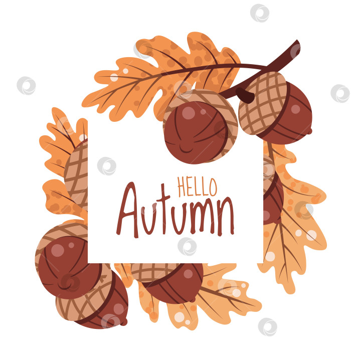Скачать Квадратная рамка с желудями и дубовыми листьями в плоском стиле. Идеально подходит для осенних открыток, плакатов на День благодарения, баннеров, социальных сетей и наклеек фотосток Ozero