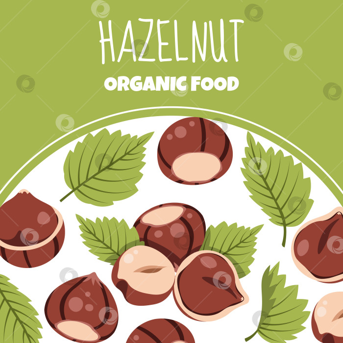 Скачать Квадратный фон в деревенском стиле с лесными орехами и зелеными листьями. Идеально подходит для осенней упаковки продуктов питания, этикеток, шаблонов плакатов и брендирования фотосток Ozero