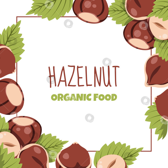 Скачать Квадратная рамка из фундука с зелеными листьями в плоском стиле. Фон для создания упаковки пищевых продуктов, этикеток продуктов, рекламных плакатов, баннеров веб-сайтов и фирменного стиля орехов фотосток Ozero