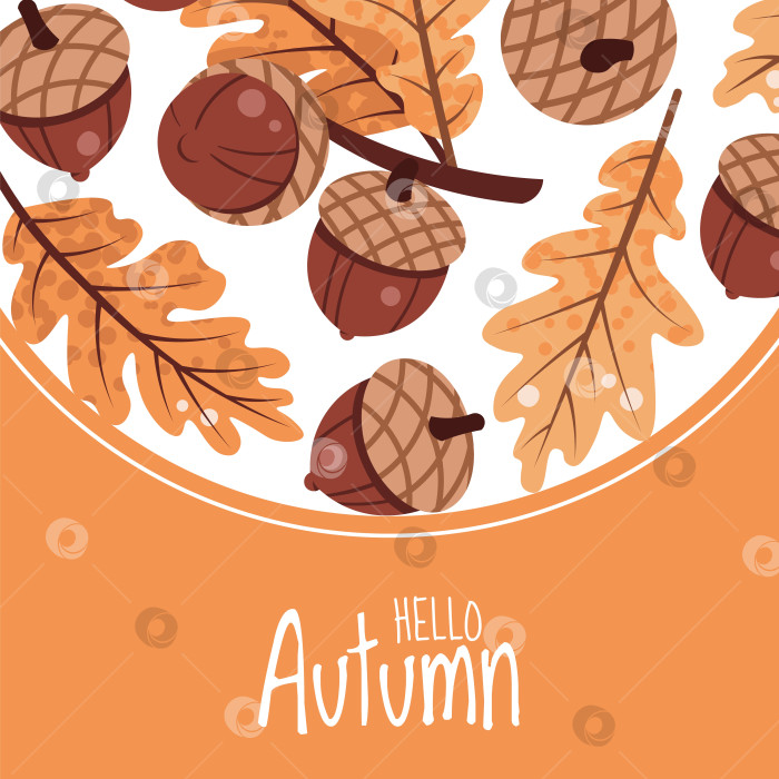 Скачать Квадратный фон с желудями и дубовыми листьями в плоском стиле для осенних поздравительных открыток, плакатов на День благодарения, баннеров в социальных сетях, этикеток на упаковках продуктов, оформления веб-сайтов и праздничного брендинга фотосток Ozero