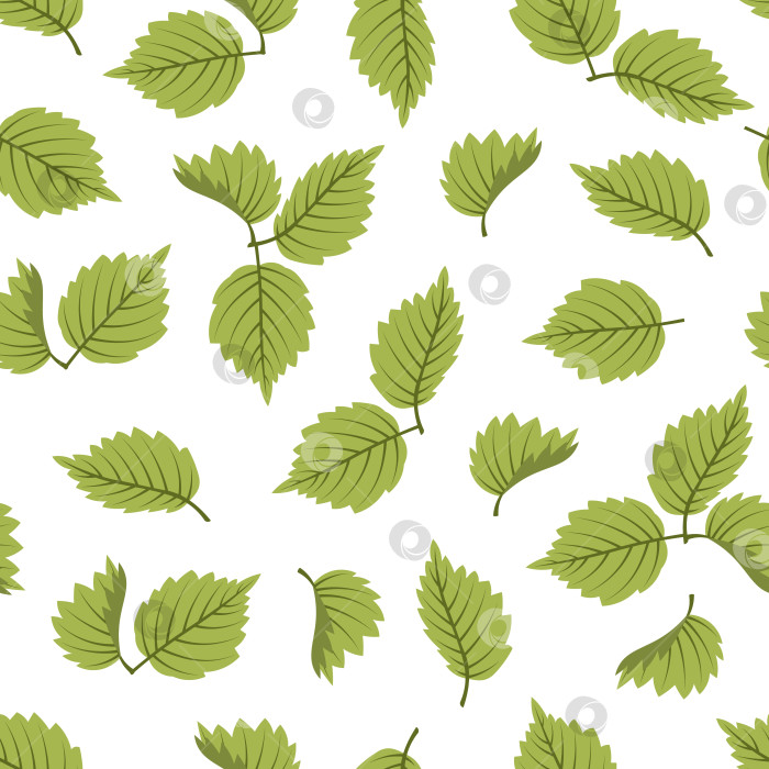 Скачать Бесшовный Узор С Зелеными Листьями Лесного Ореха В Плоском Стиле. Повторяющая Свежую Весеннюю Текстуру Для Текстиля, Обоев, Натурального Декора. фотосток Ozero