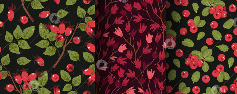 Скачать Набор бесшовных лесных узоров с брусникой, шиповником, листьями и цветами в плоском стиле. Растительная текстура дикой природы для текстиля, обоев, упаковки, канцелярских принадлежностей и натурального декора фотосток Ozero