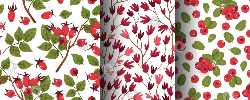 Скачать Набор бесшовных лесных узоров с брусникой, шиповником, листьями и цветами в плоском стиле. Растительная текстура дикой природы для текстиля, обоев, упаковки, канцелярских принадлежностей и натурального декора фотосток Ozero
