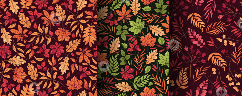 Скачать Набор бесшовных рисунков с различными осенними листьями. Фон из дуба, клена, рябины и других растений в плоском стиле. Классическая текстура осенней листвы для обоев, текстиля, упаковки, сезонного декора фотосток Ozero