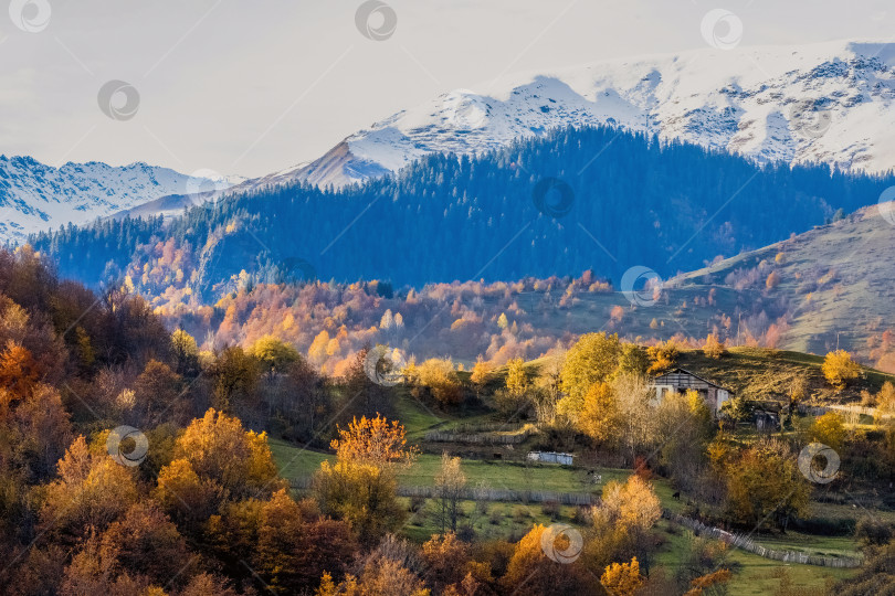 Скачать Прекрасный вид на небольшой городок Маунтайм с домами и деревьями. фотосток Ozero
