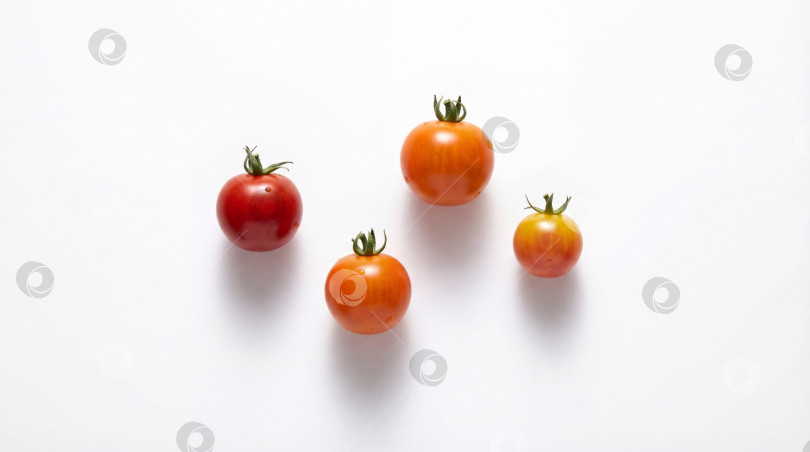 Скачать Помидоры черри красного, оранжевого и желтого цветов в реалистичном стиле на белом фоне с пробелом для копирования фотосток Ozero