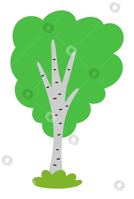 Скачать Векторный значок зеленой березы, выделенный на белом фоне. Садовое или лесное растение с веточками и листьями. Иллюстрация весенней равнины, пасхальной деревни или фермы. Изображение естественной зелени фотосток Ozero