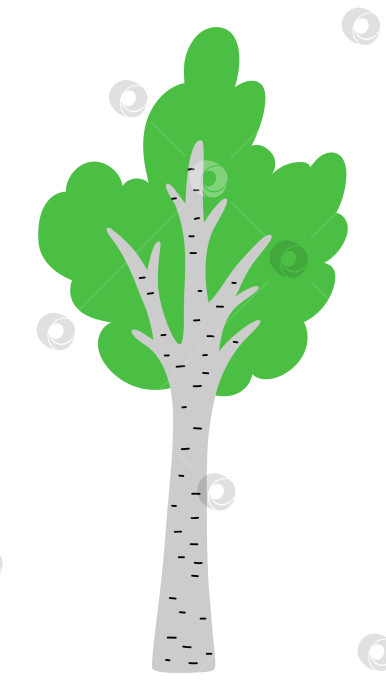 Скачать Векторный значок зеленой березы, выделенный на белом фоне. Садовое или лесное растение с веточками и листьями. Иллюстрация весенней равнины, пасхальной деревни или фермы. Изображение естественной зелени фотосток Ozero