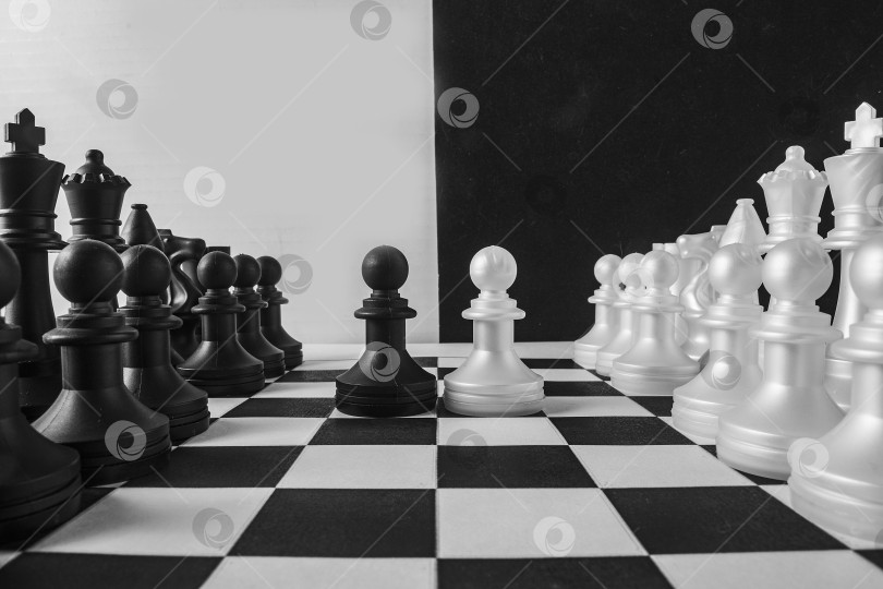 Скачать шахматы фотосток Ozero