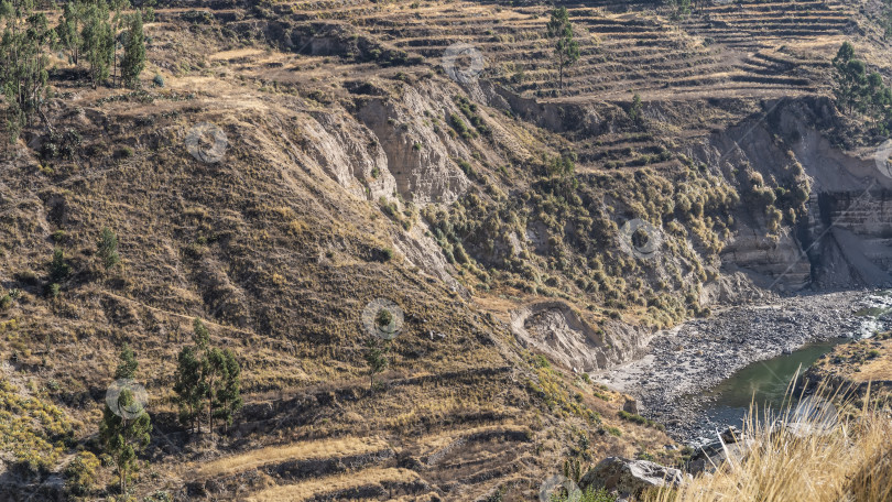 Скачать Живописный горный пейзаж. Террасы на склонах холмов, зеленые деревья. фотосток Ozero