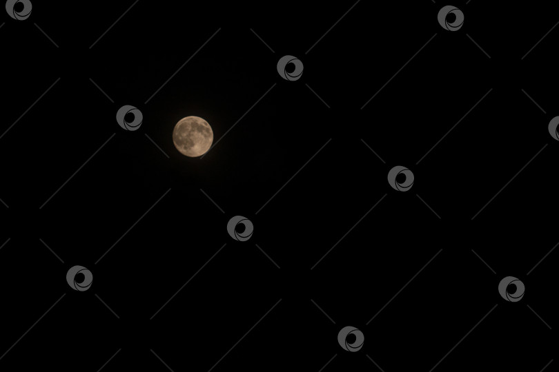 Скачать Минимальная Полная Луна, выделяющаяся на черном ночном небе фотосток Ozero
