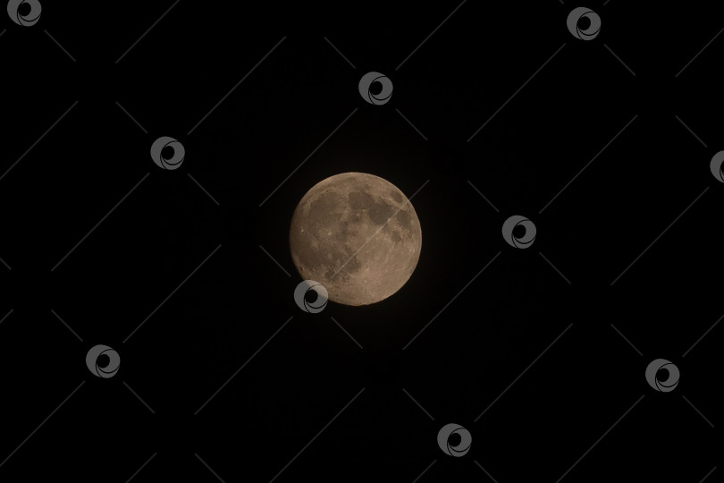 Скачать Детализированная полная луна, подвешенная в темном небе фотосток Ozero