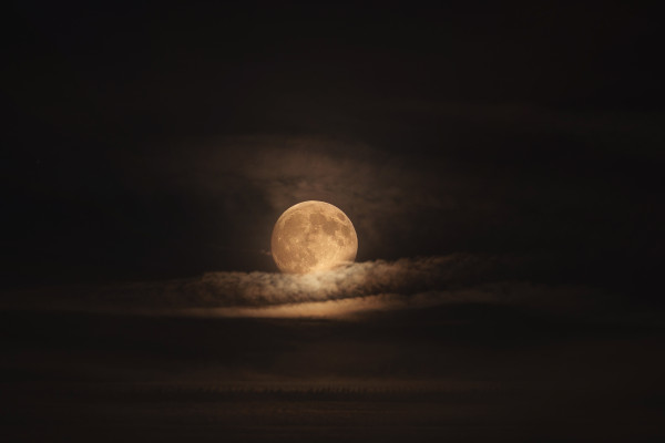 [object Object] undefined