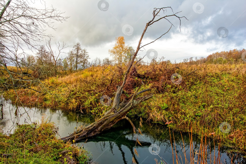 Скачать Небольшая речка в сельской местности поздней осенью фотосток Ozero