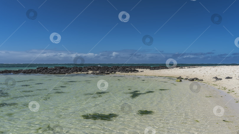 Скачать Мелководный океанский залив. Сквозь кристально чистую бирюзовую воду видно песчаное дно и зеленые водоросли. фотосток Ozero