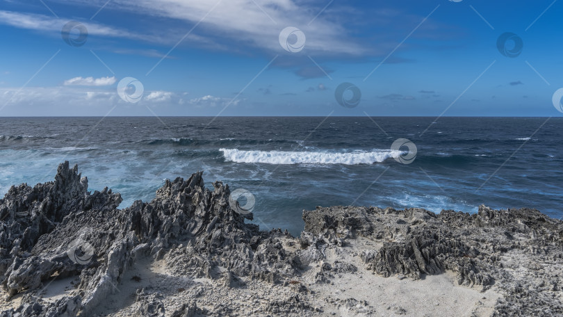 Скачать Скалистое побережье вулканического острова. Острые скалы из черной лавы на фоне голубого океана. фотосток Ozero