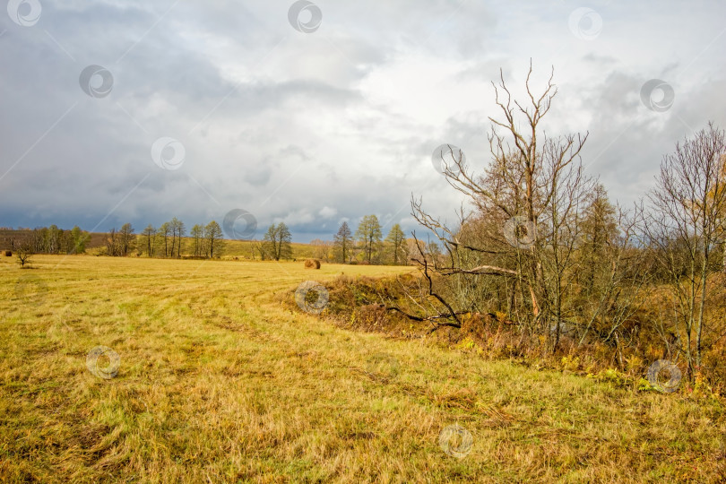 Скачать Скошенное поле поздней осенью в пасмурный день фотосток Ozero
