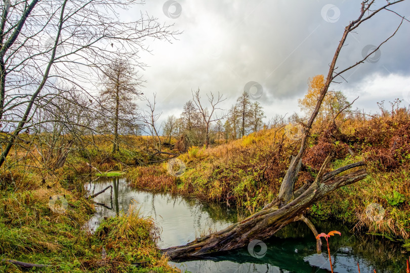 Скачать Небольшая речка в сельской местности поздней осенью фотосток Ozero